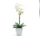 FLORI ARTIFICIALE GHIVECI (ORHIDEE) A10010