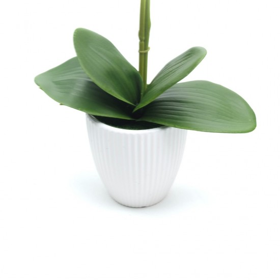 FLORI ARTIFICIALE GHIVECI (ORHIDEE) A10010