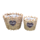 VAZA 2 PCS A11604
