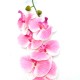 FLORI ARTIFICIALE A11712