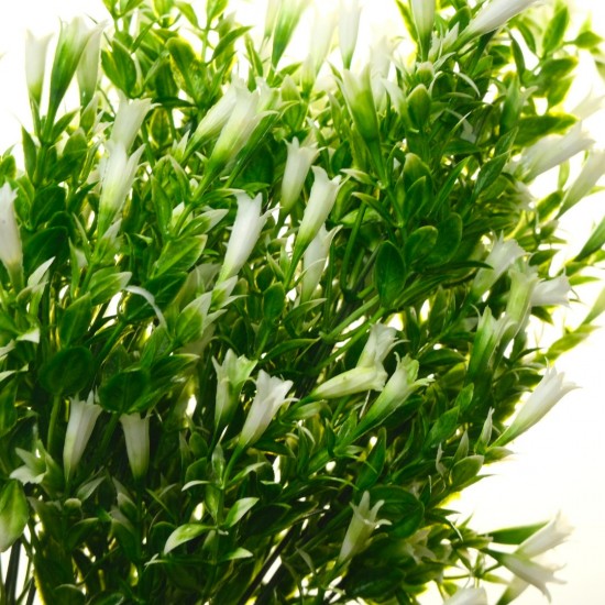 FLORI ARTIFICIALE A12313