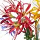 FLORI ARTIFICIALE A12835