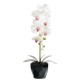 FLORI ARTIFICIALE GHIVECI (ORHIDEE) A80100