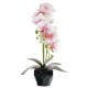 FLORI ARTIFICIALE GHIVECI (ORHIDEE) A80101