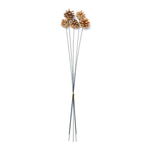 FLORI DECOR 5PC A12586
