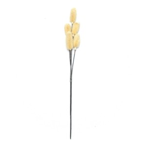 FLORI USCATE BUCHET A12585