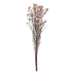 FLORI USCATE BUCHET A13290