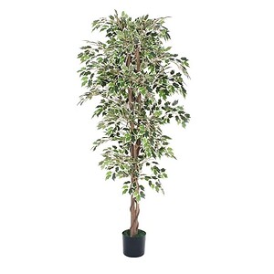 POM DECOR 170 CM A80081