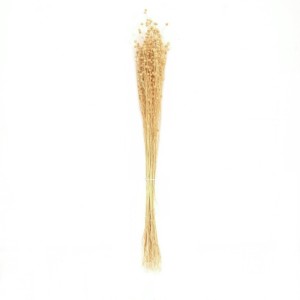 FLORI USCATE BUCHET A12532