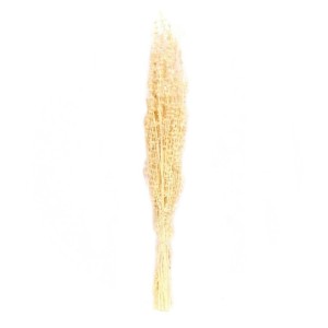 FLORI USCATE BUCHET A12531
