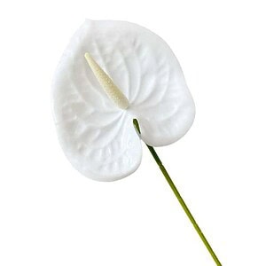 FRUNZE ARTIFICIALE 60 CM A80348