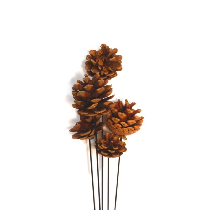 FLORI DECOR 5PC A12586