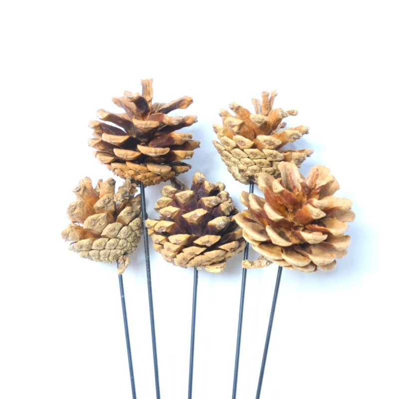FLORI DECOR 5PC A12586