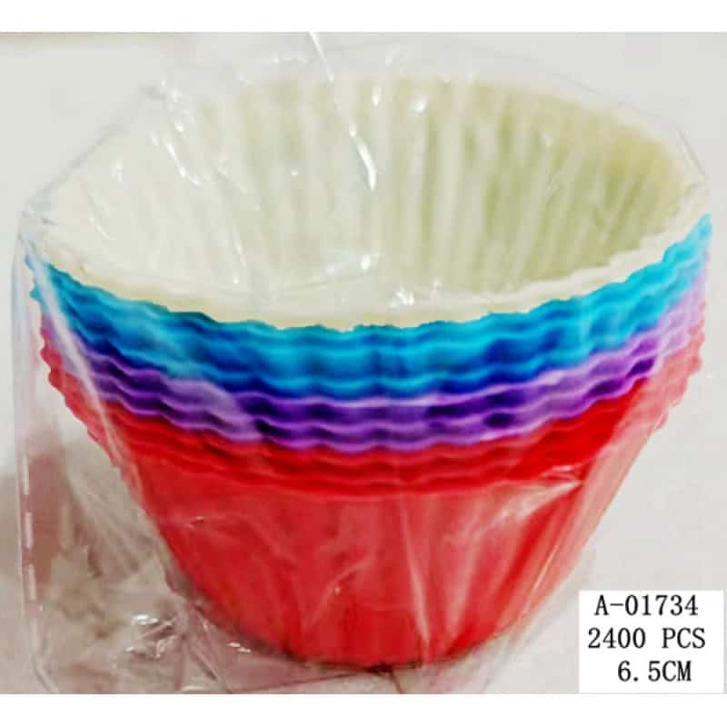 FORMA BRIOSA, SILICON A01734